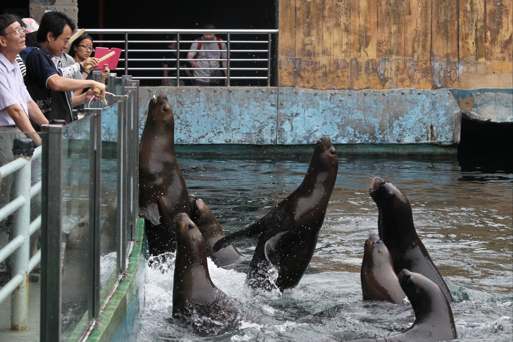 Tourists feed sea lions at Haichang’s Laohutan Ocean Park in Dalian on 29 June 2015. Photo: Simon Song