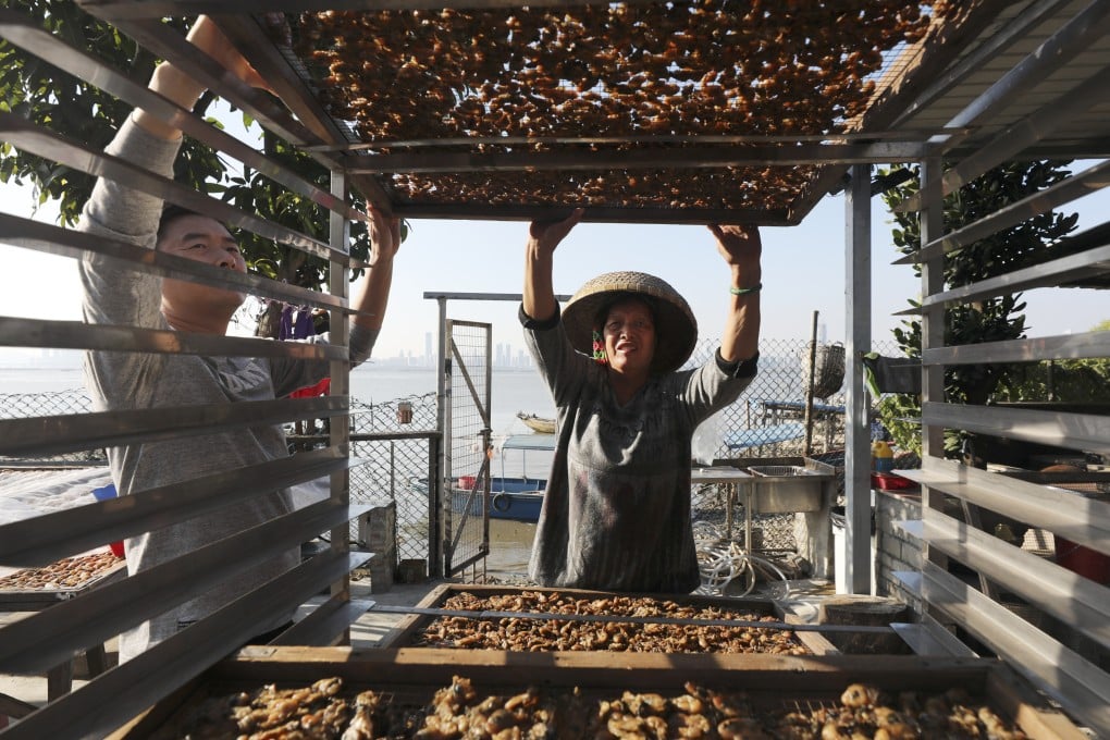 Oyster farm owner Chan To-ngan (right) and son Edwin Chan at her farm in Lau Fau Shan. Photo: Xiaomei Chen