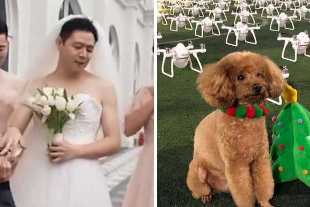 A wedding ignored tradition in southern China (left) and one pup got a special birthday present (right). Photo: Handout