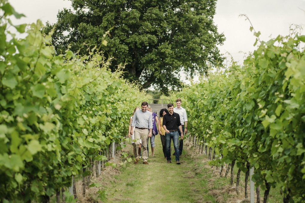 Visitors tour the vineyard in Kent, England, of sparkling wine producer Gusbourne. The best English bubbly is a match for champagne in quality and texture, but with a crisper taste, an expert says. (Gusbourne via AP)