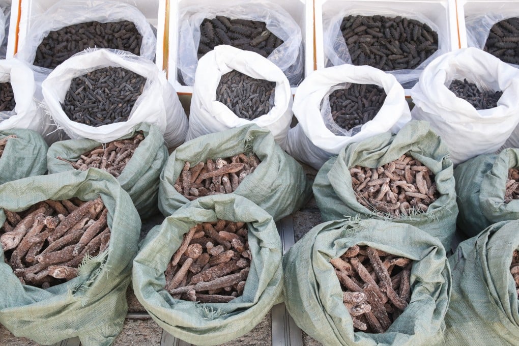 Hong Kong police and customs officers have seized HK$17 million worth of contraband sea cucumber in an operation on Tuesday. Photo: Edmond So