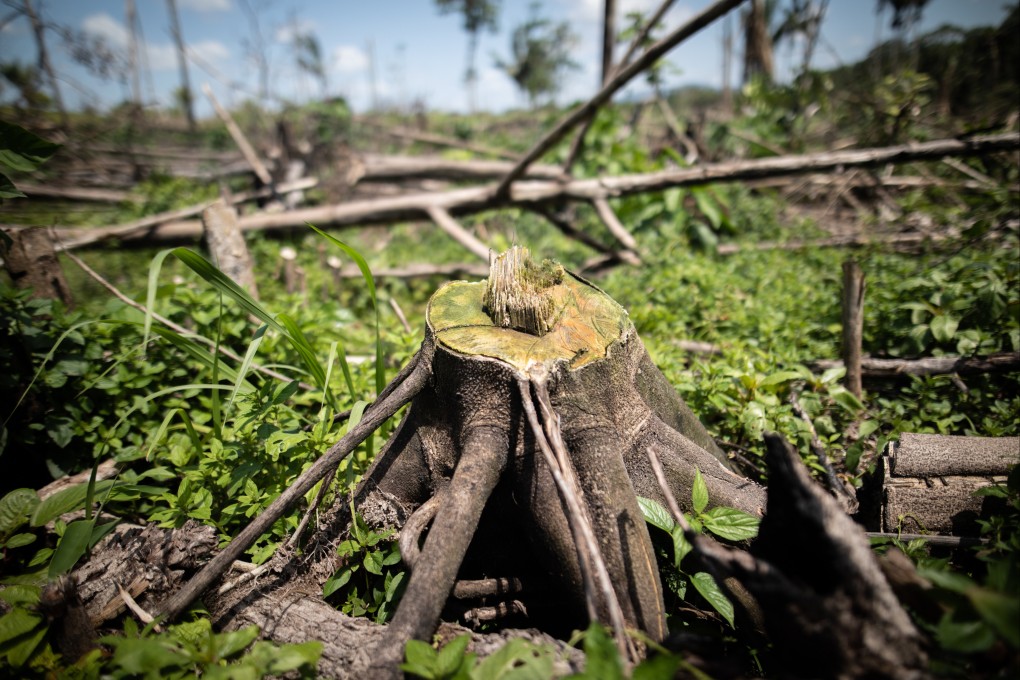 A deforested area is seen near El Capricho, Guaviare department, Colombia, in November. Photo: Bloomberg