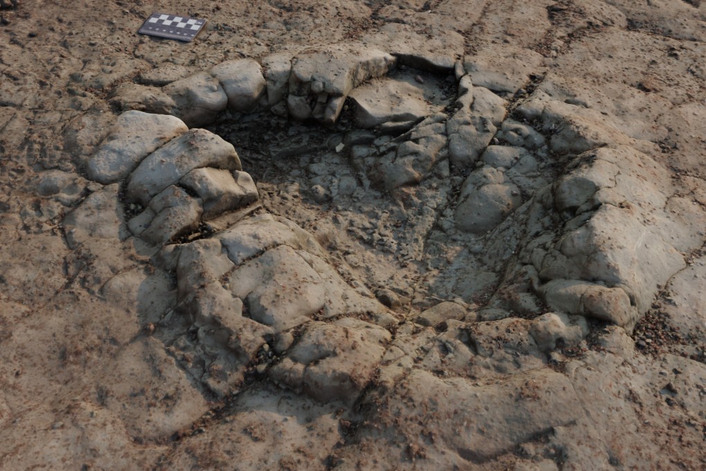 Footprints believed to belong to a sauropod found on the beach at Penarth in South Wales, Britain on January 1. Photo: Peter Falkingham / Natural History via PA Media / DPA