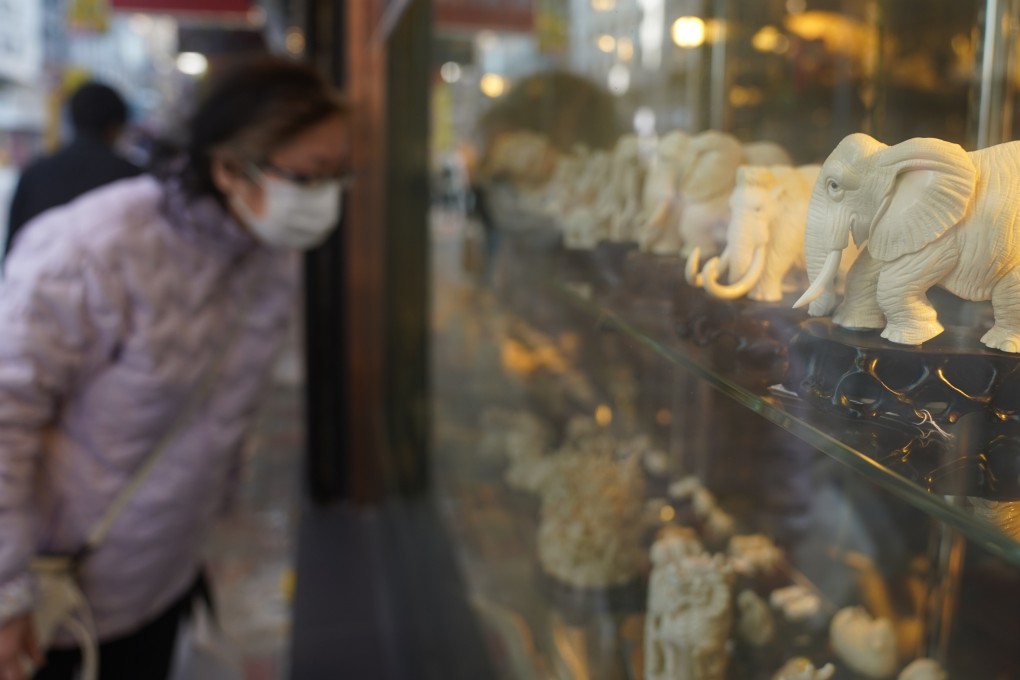 A ivory shop in Sheung Wan. The end of most legal ivory trading in Hong Kong will, sadly, not prevent the unsavoury business from continuing on the black market. Photo: Sam Tsang