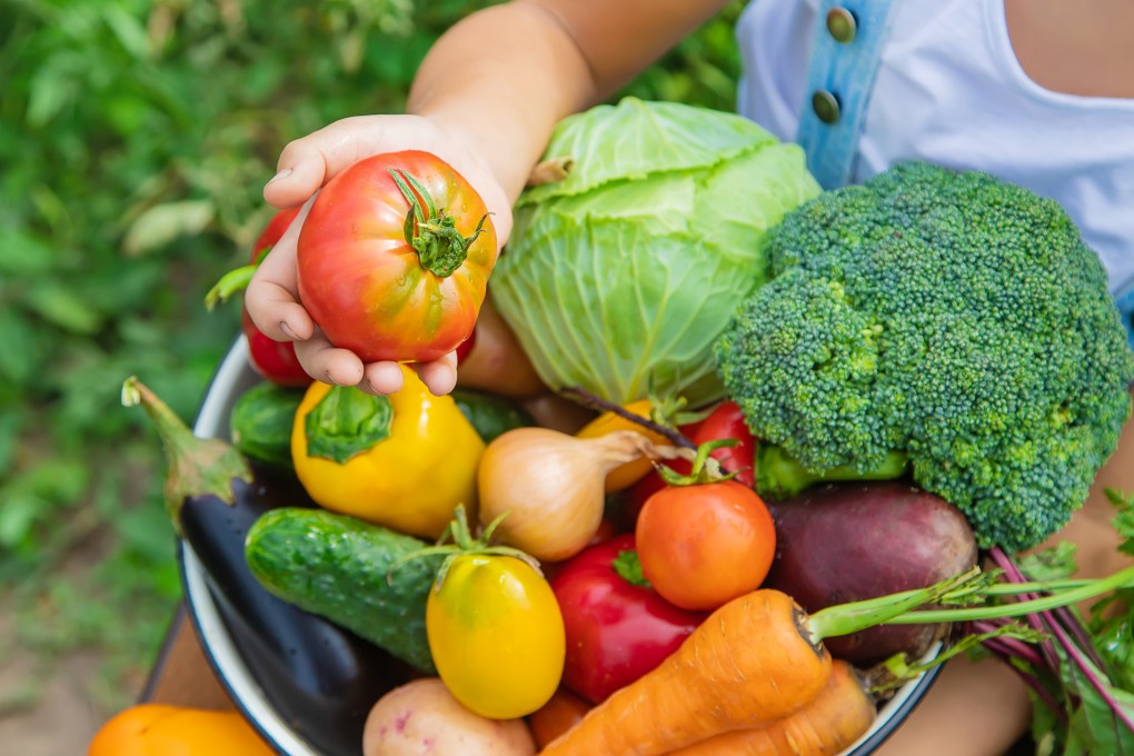 A climatarian diet focuses on reducing your carbon footprint BY eating more plant-based, locally sourced seasonal produce and less carbon-intensive meat such as beef or lamb. Photo: Shutterstock