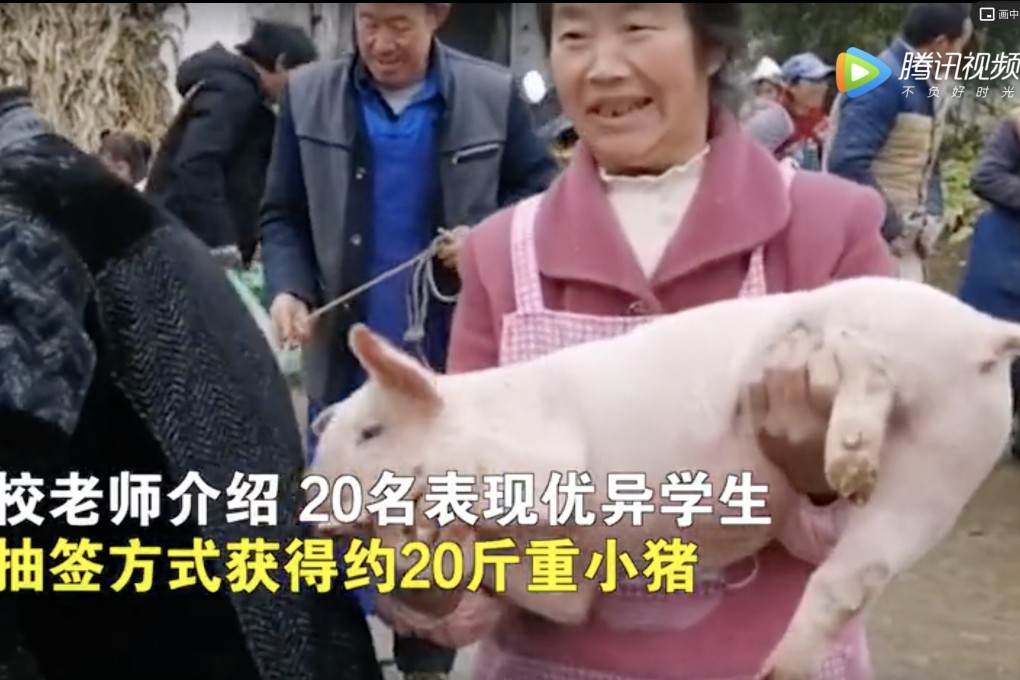A poverty relief programme has given 20 primary school children a live piglet to recognise their hard work and boost the local economy. Photo: Weixin