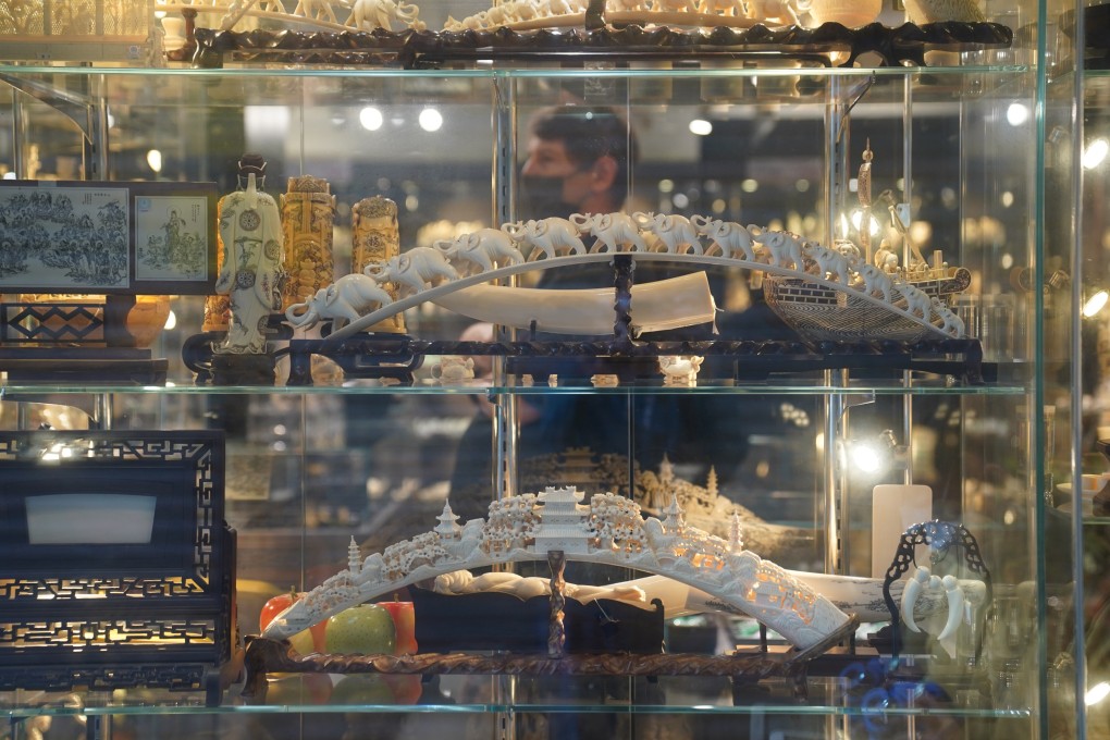 Ivory is displayed in a shop in Sheung Wan on January 2. For most people, it is impossible to distinguish antique ivory from illegal elephant ivory. Photo: Sam Tsang