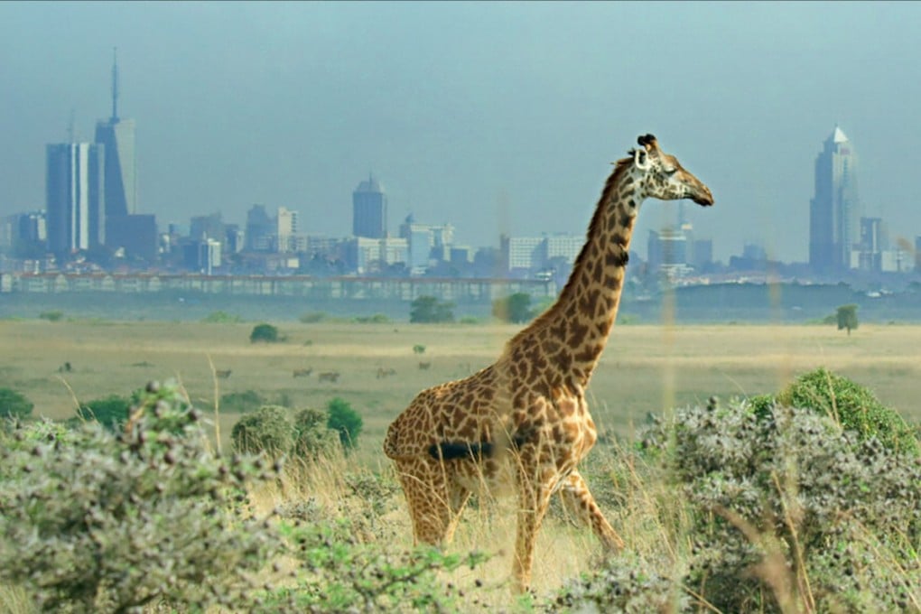 A still from Breaking Boundaries: The Science of Our Planet, one of the many documentaries to watch on climate change. Photo: Netflix