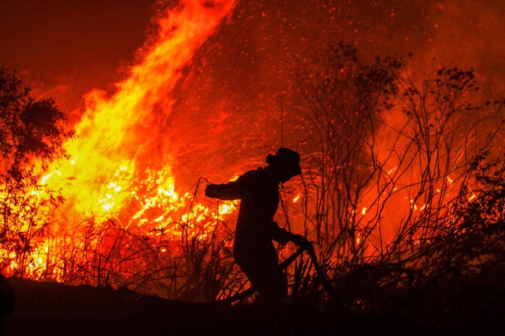 A firefighter extinguishes a fire in a forest in Indonesia in 2019. Photo: AFP