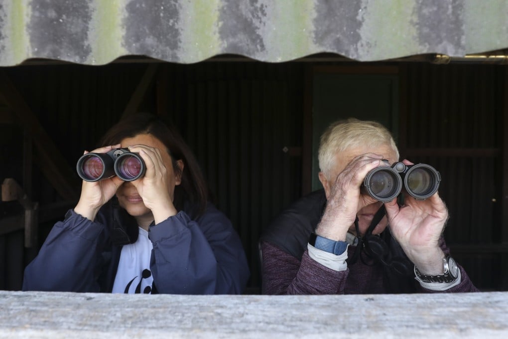 Nicole Wong and Dan Bradshaw of WWF-Hong Kong look out over Deep Bay from a birdwatching hide at the Mai Po nature reserve in the city’s New Territories. WWF-Hong Kong is celebrating its 40th anniversary. Photo: SCMP/Xiaomei Chen