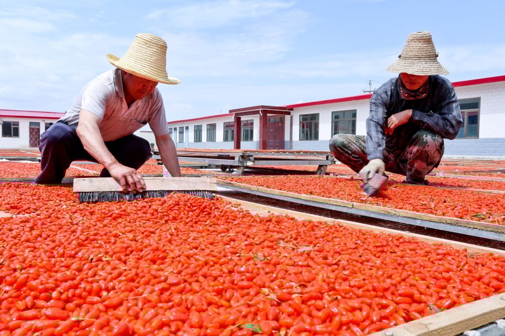 Goji berries are commonly used in traditional Chinese medicine and a new study connected them with eye health. Photo: Getty Images