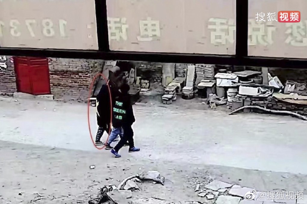 Li Furun died after he was attacked by dogs at a deserted factory where he was playing. Photo: Weibo