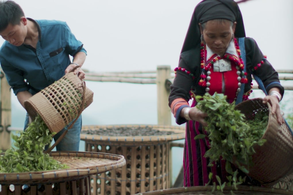 Zhao Yuyue (right) and her son of the De’ang people in Yunnan, China, put tea leaves to dry in a still from One Cup, a Thousand Stories. Photo: BBC Earth