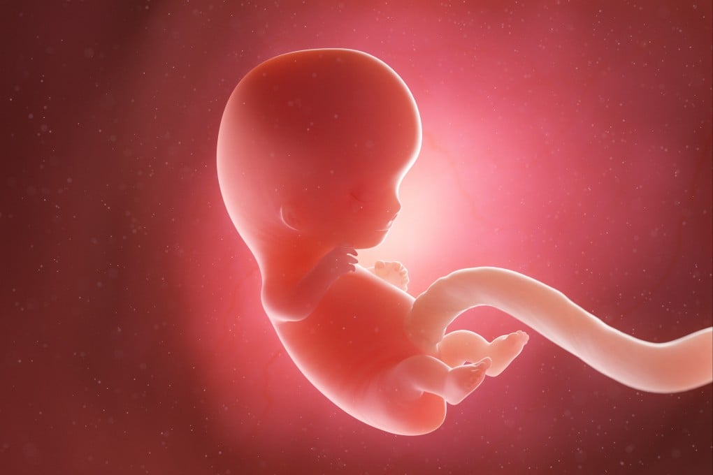 The technology could help solve some major reproductive problems for humans, say researchers behind project. Photo: Shutterstock