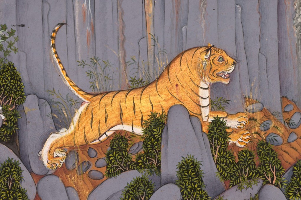 Tiger Hunt of Ram Singh II, ink painting, c. 1830-1840, India. The word “tiger” and the animal’s characteristics have inspired a number of phrases, including the “Four Tigers”, “tiger mother” and “paper tiger”. Photo: Universal Images Group via Getty Images