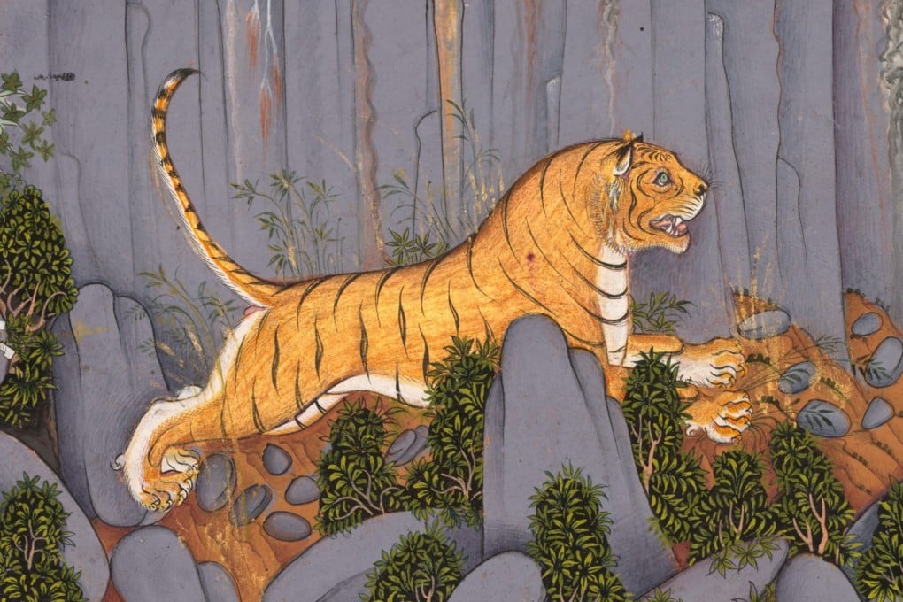 Tiger Hunt of Ram Singh II, ink painting, c. 1830-1840, India. The word “tiger” and the animal’s characteristics have inspired a number of phrases, including the “Four Tigers”, “tiger mother” and “paper tiger”. Photo: Universal Images Group via Getty Images