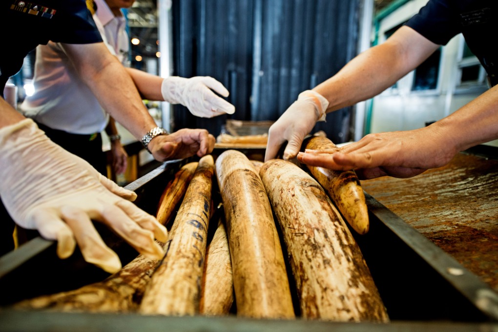 The Wildlife Justice Commission says effective law enforcement efforts in China have sparked changes in the global trafficking landscape, including that Vietnamese groups were replacing or competing with Chinese traffickers in African countries. Photo: CWH
