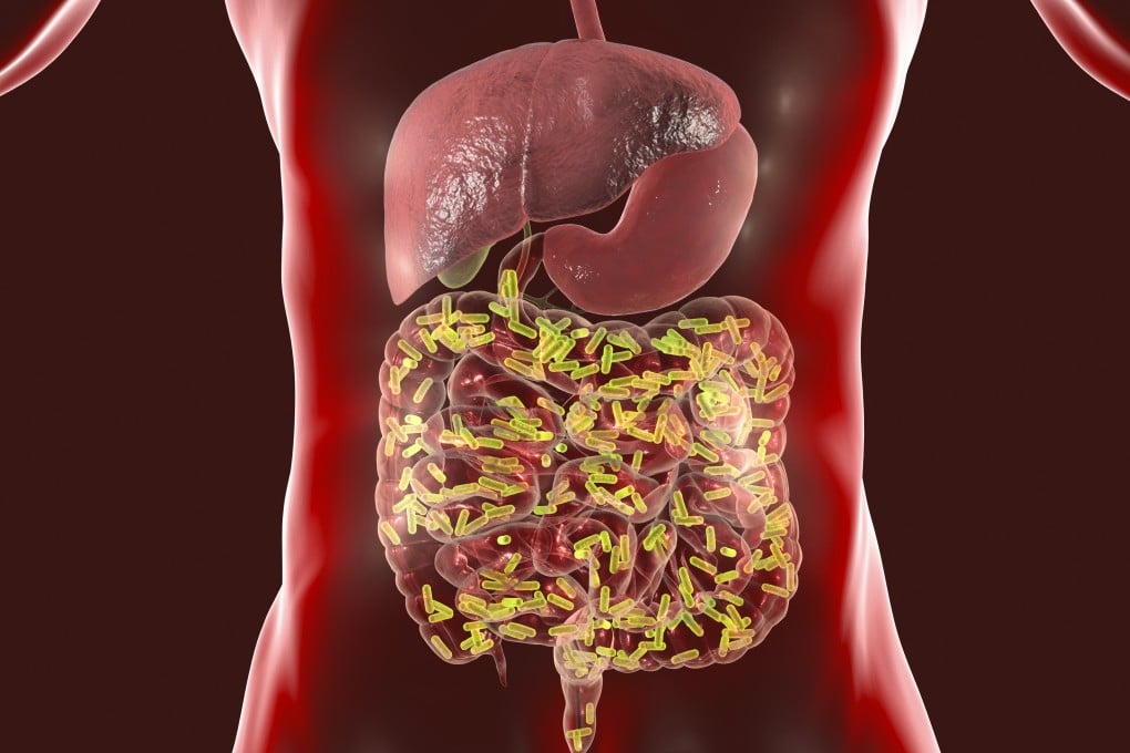Our gut health has a direct impact on our immune system function and overall well-being, and a plant-based diet can enhance it. Photo: Getty Images