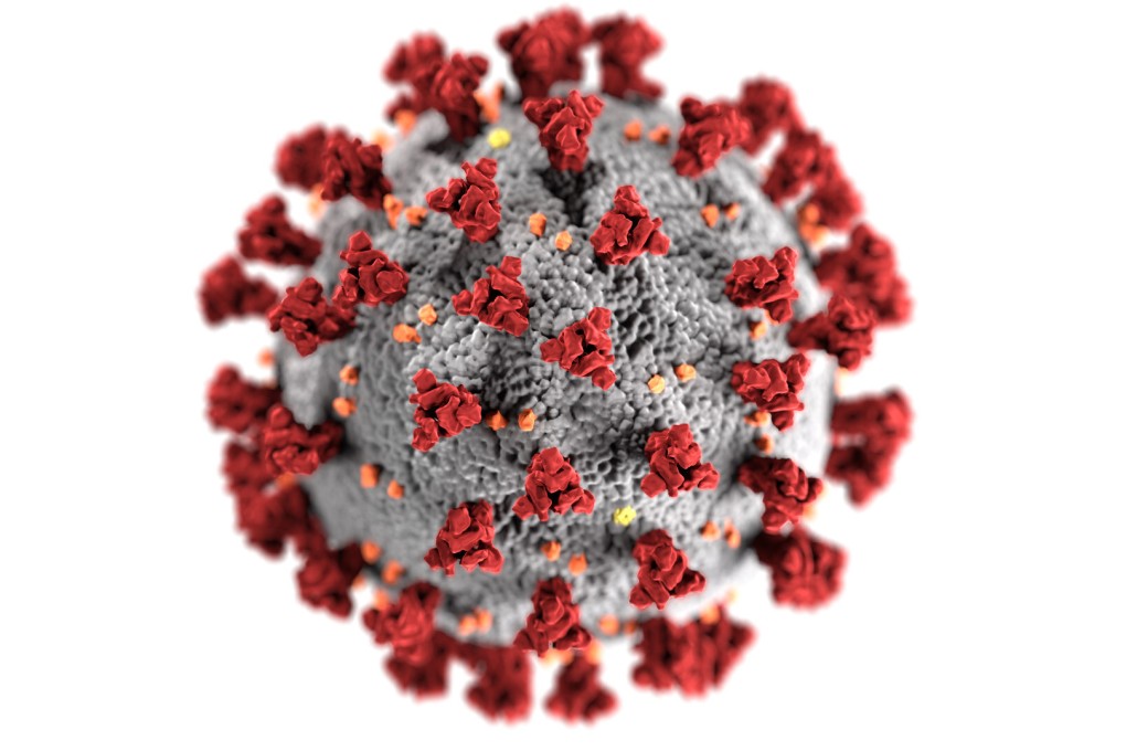 An illustration of a coronavirus showing the spike proteins it uses to attach to human cells. Omicron has some 30 mutation in the gene for the spike proteins. Photo: US Centres for Disease Control and Prevention / Handout