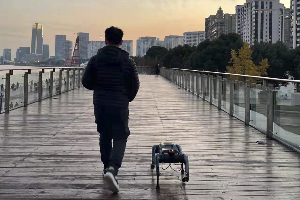 Walking the dog with a twist in Shanghai. Photo: Thepaper.cn