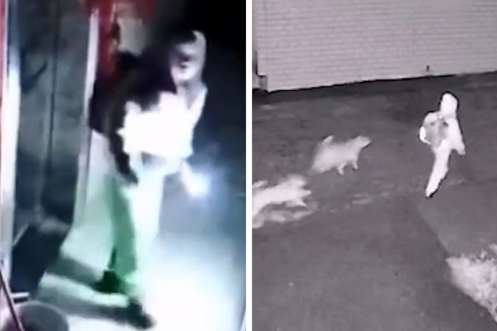 Accompanied by his two dogs, a young boy starts his 3-part journey to school at 5am. Photo: Handout