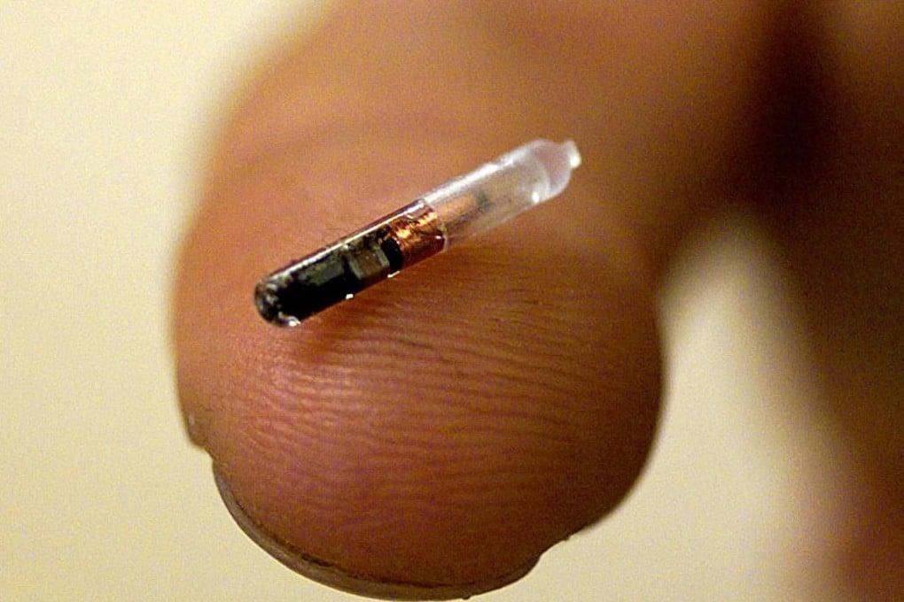 A vet holds a micro-chip identity tag which can be inserted under the skin of a dog or cat’s neck.
Photo by Reuters