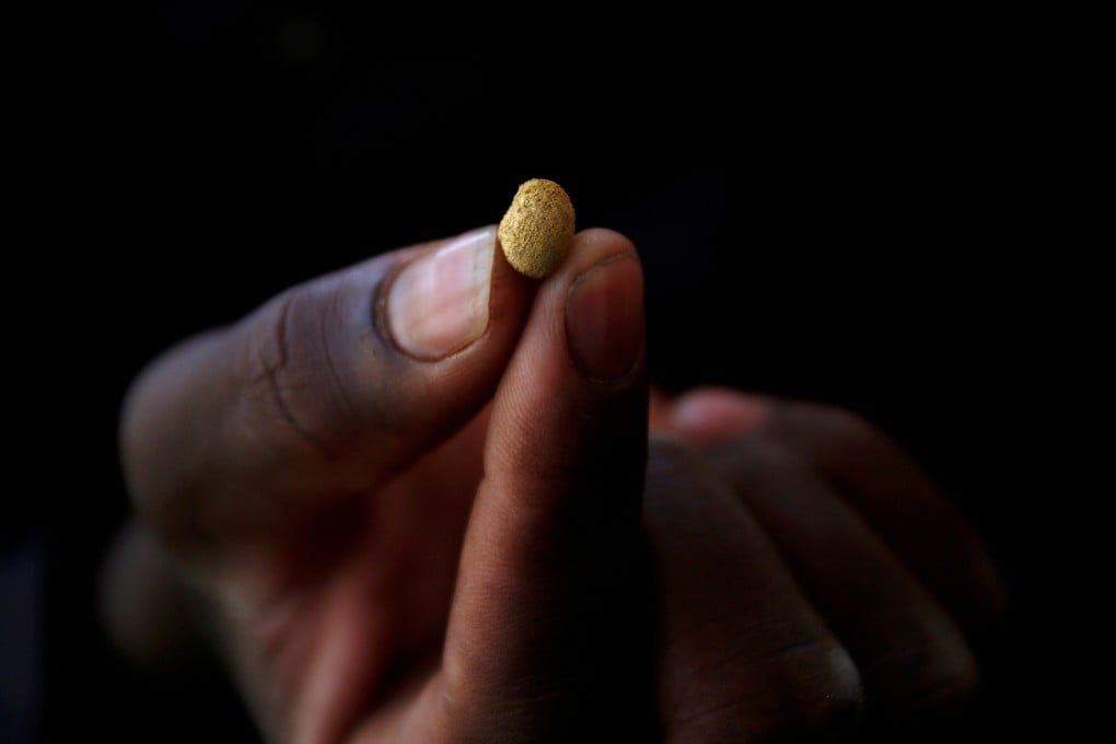 A miner holds a gold nugget at an unlicensed mine in Gaoua, Burkina Faso. Small-scale mines have fewer regulations than industrial ones and thus can be more dangerous. Photo: Reuters