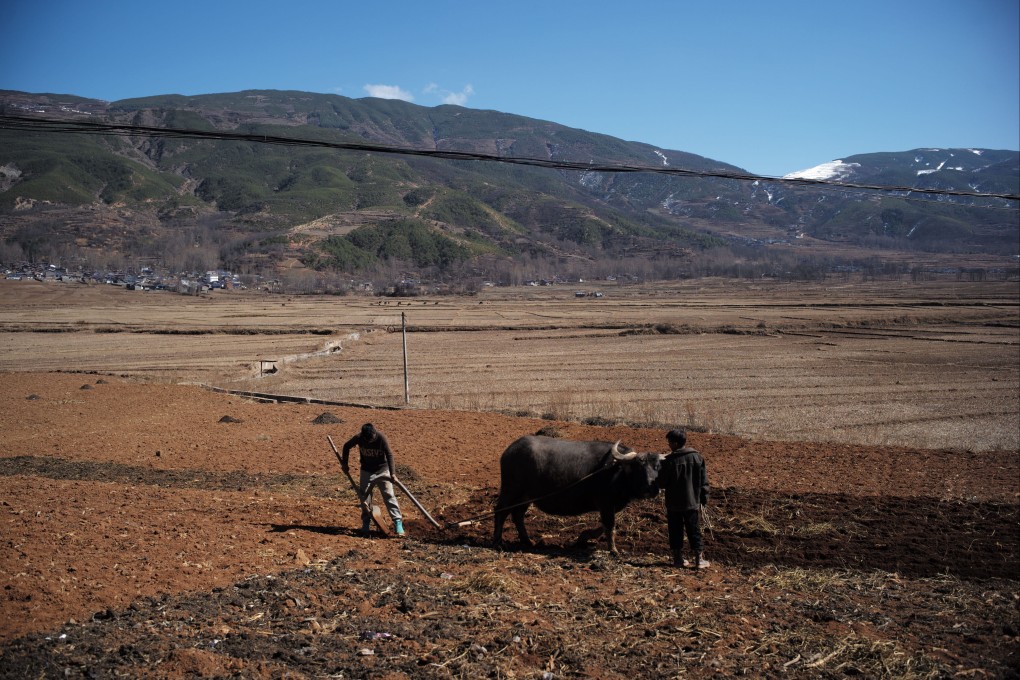 Farmers plough a field in Zhaojue county, in Sichuan province, on February 9. Wife abduction in China’s rural areas has been a problem for years. Photo: Xinhua