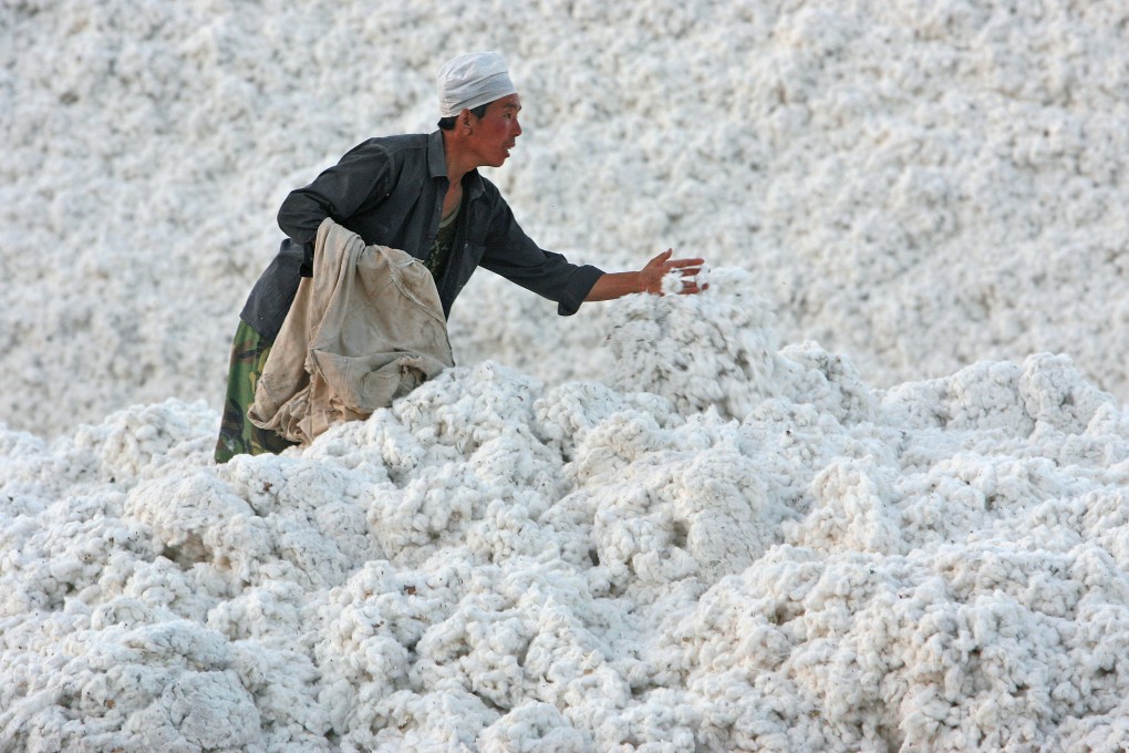 Harvesting of cotton in Xinjiang has come under the microscope over alleged forced labour. Photo: Getty Images
