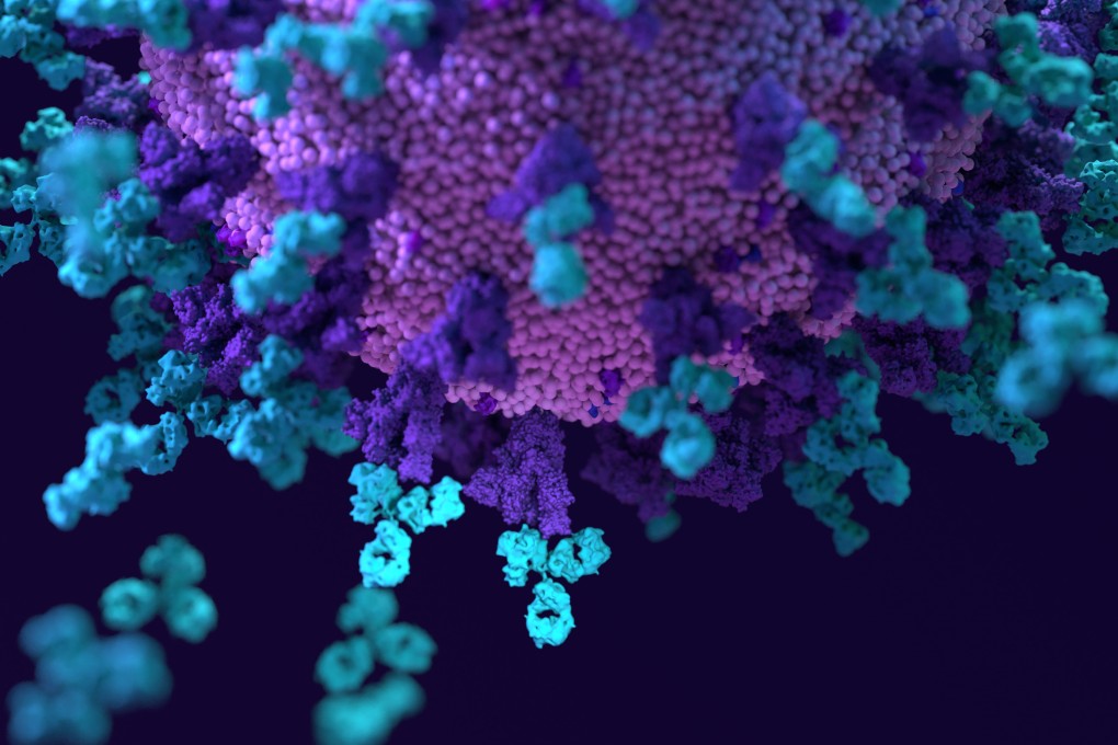 Antibodies work to neutralise  the virus. Photo: Shutterstock