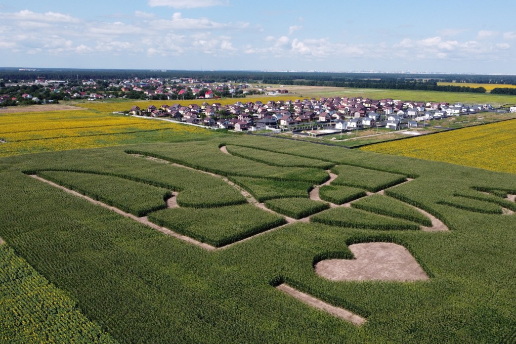 An aerial view shows corn stalks planted by Ukrainian farmers outside Kyiv, Ukraine July 2021. Photo: Reuters