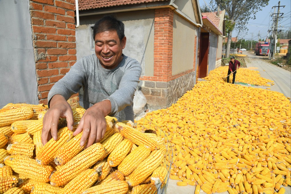 Food security is a critical priority for Beijing as the nation’s imports of corn, soybeans and wheat have soared to record levels, increasing its vulnerability to trade tensions and supply shocks. Photo: Xinhua