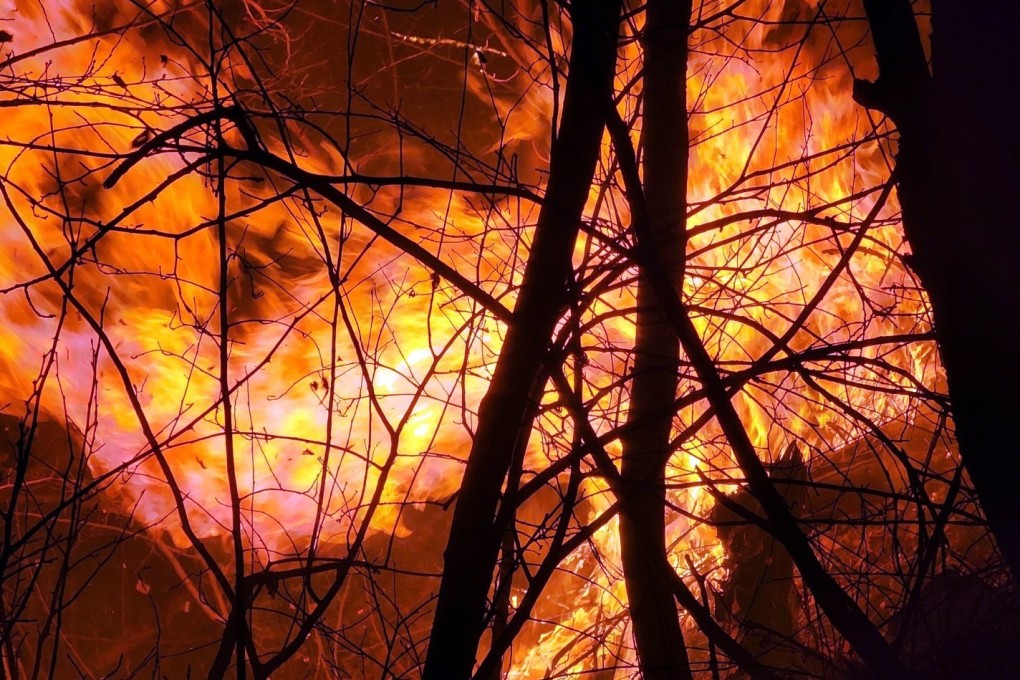 A wildfire burns on a mountain in the eastern county of Samcheok, South Korea. Photo: EPA-EFE
