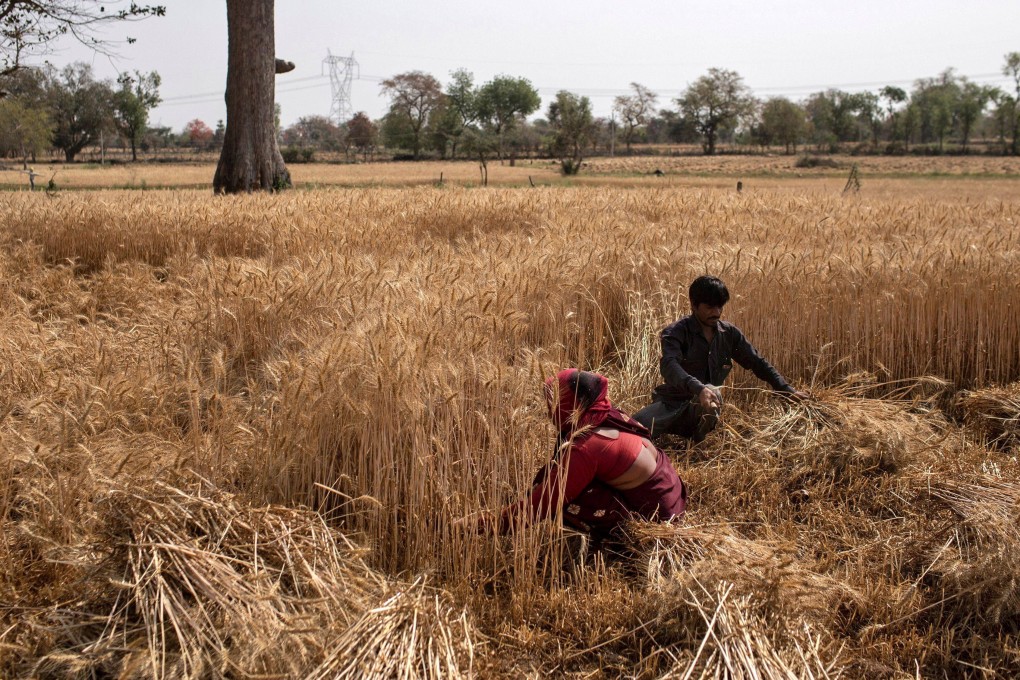 Indian sending wheat to the people of Afghanistan. Photo: Reuters