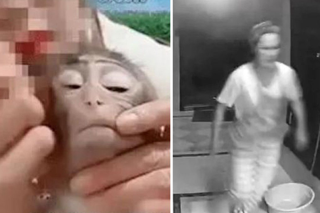 Quirky China: monkey makeup business exposed, ‘firefighter’ with beauty mask saves the day and a sexist ad banned. Photo: SCMP artwork