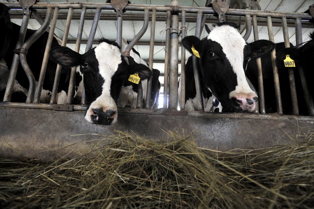 The study found elderly people consumed more meat and dairy than their middle-aged compatriots, which translates to greater amounts of energy needed to produce them. Photo: AP