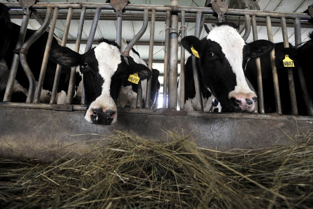 The study found elderly people consumed more meat and dairy than their middle-aged compatriots, which translates to greater amounts of energy needed to produce them. Photo: AP