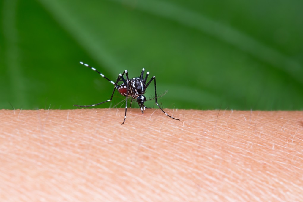 Australia has advised people to try to avoid mosquito bites, including by covering exposed skin and removing containers of water where they may breed. Photo: Shutterstock