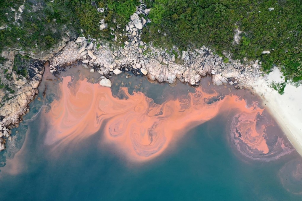 A red tide on March 13, 2022 on the southern side of Lamma Island, Hong Kong. The phenomenon is common in springtime.  Photo: Chau Hung