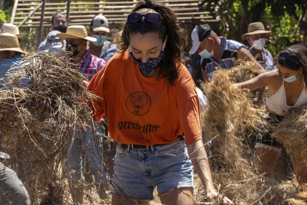 People in Pedasi take part in the junta de embarre, in Panama. Building mud houses is one of the activities that tourists can take part in as the country attempts to keep dying traditions alive. Photo: Steph Dyson