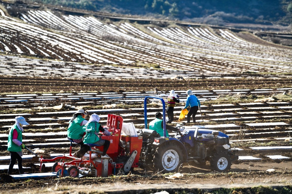 Premier Li Keqiang says China’s food security faces new challenges from the complicated international environment. Photo: Xinhua