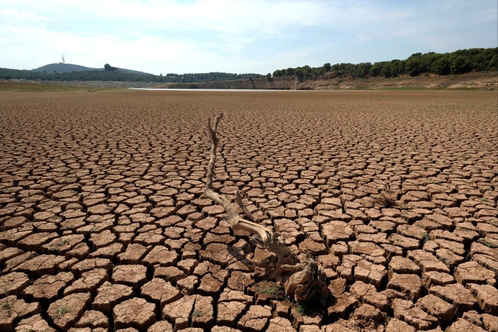 The remains of a dead tree at an almost empty reservoir in Spain during a 2018 drought. File photo: Reuters