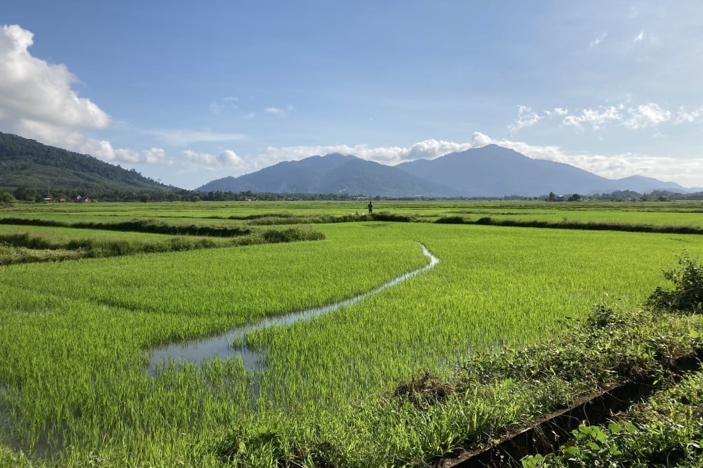 Bucolic Langkawi, Malaysia, which is promoting its sustainable tourism credentials but could do more. Photo: Thomas Bird