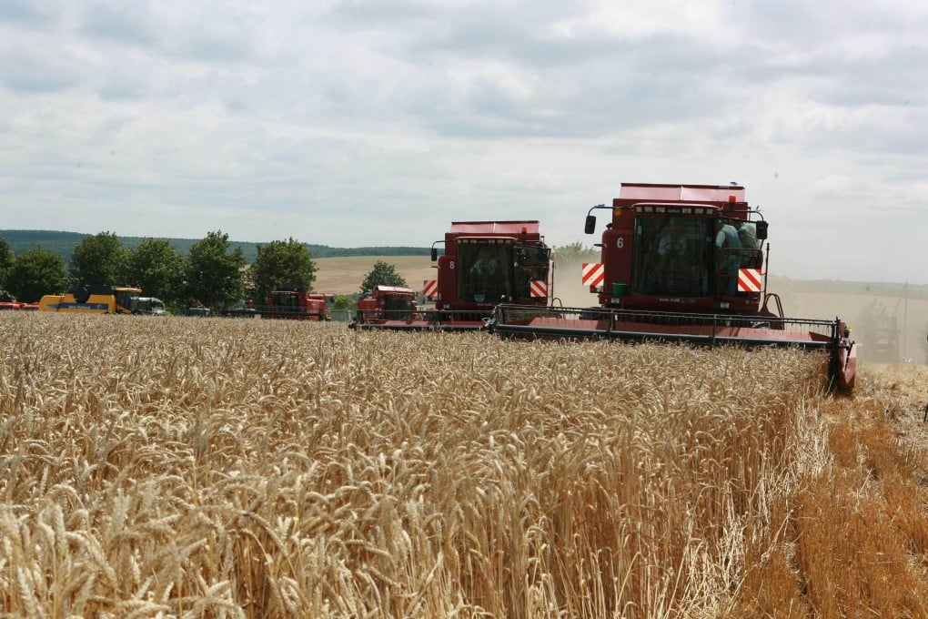 Combine harvesters work in the wheat field in Vinnitsa state in western Ukraine. Photo: Xinhua