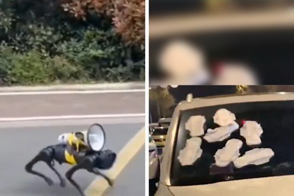A robotic dog with a loudspeaker patrols Shanghai (left) and a bad parker is punished with sanitary pads (right). Photo: Weibo