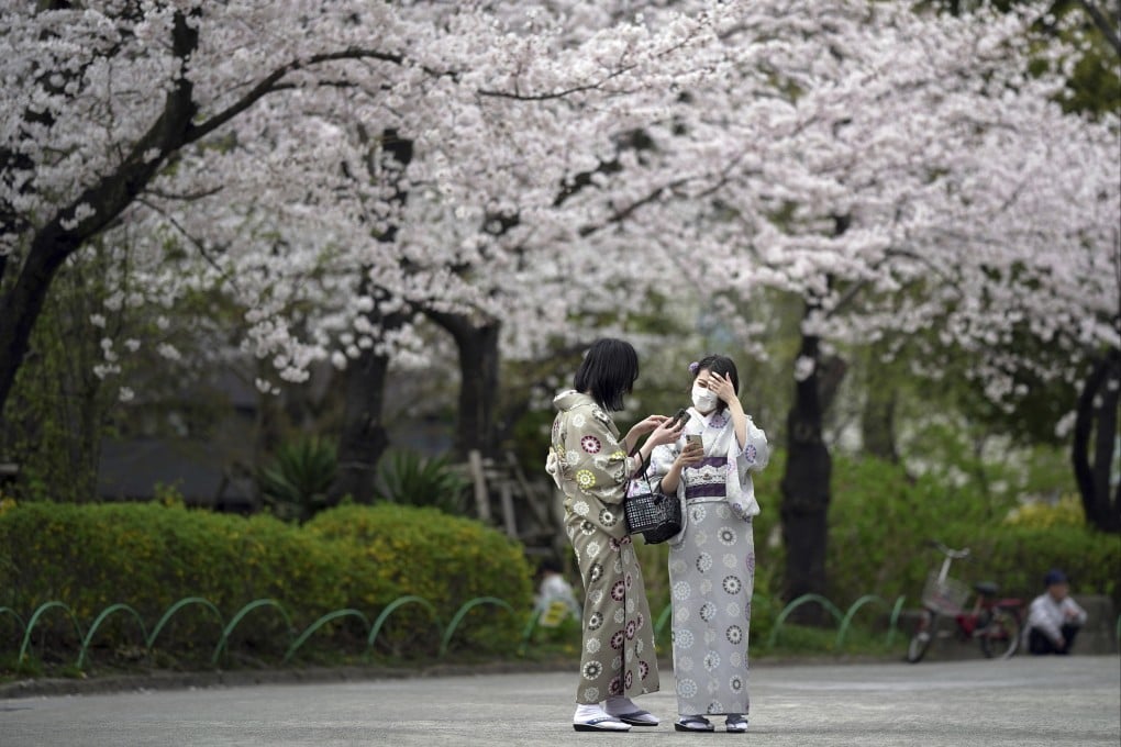 Wearing face masks to view the seasonal cherry blossoms this year at the Sumida Park in Tokyo. Photo: AP Photo