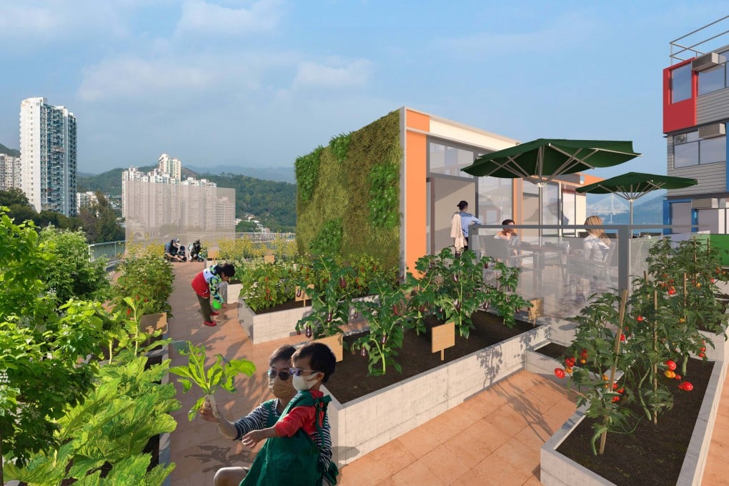 Wellness Lodge, Sino Group’s first transitional housing project, will have an indoor children’s playground and a communal farming area (pictured). Photo: Handout