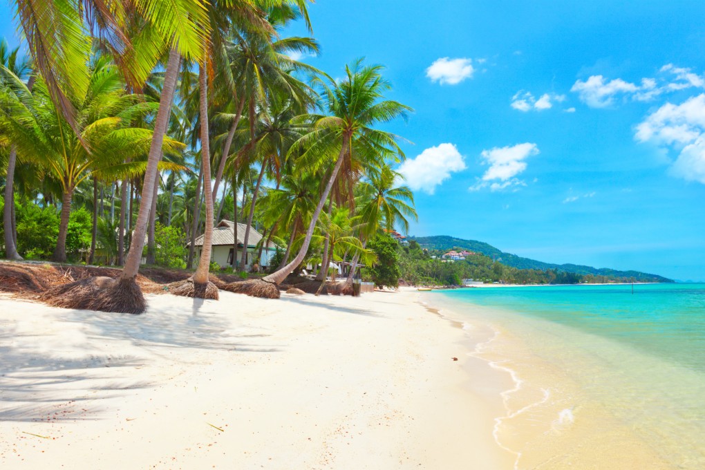 A beach on the Thai island of Samui. Photo: Shutterstock