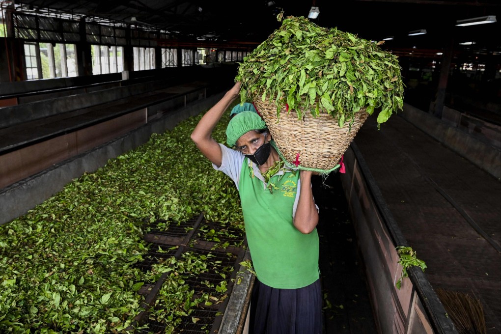 More than 10 per cent of Sri Lanka’s US$1.3 billion tea exports went to Russia before the invasion of Ukraine. Photo: AFP