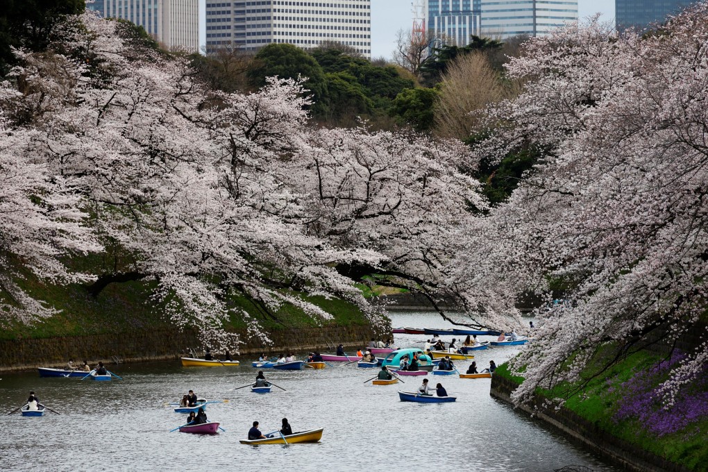 Visitors ride boats next to blooming cherry blossoms at Chidorigafuchi Park in Tokyo, Japan, on March 27. Photo: Reuters